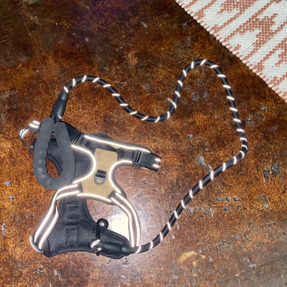 Harness and leash